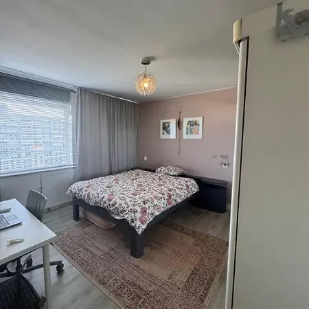 Apartment Ladies Only! Neat Cozy Room, Great Loc In